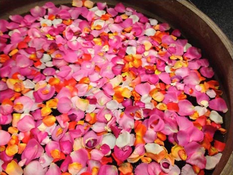 flowerpetals